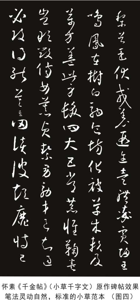 怀素碑帖4.jpg