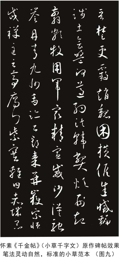 怀素碑帖9.jpg