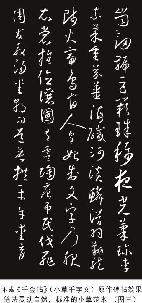 怀素碑帖3.jpg